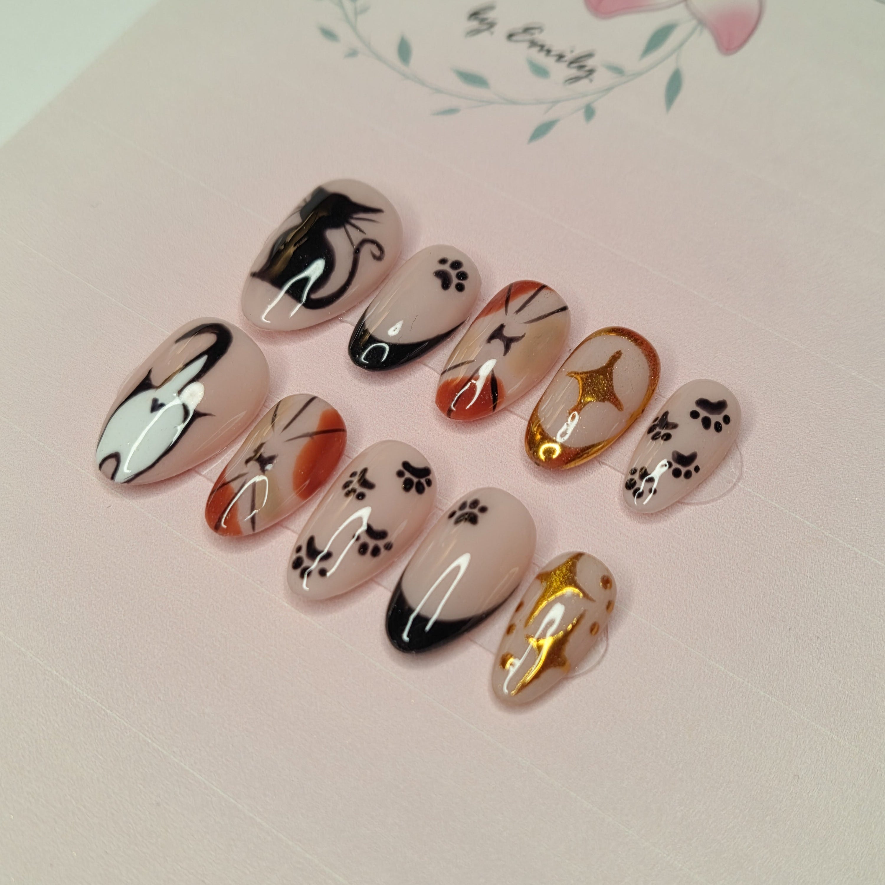 Starry Cats ✨️🐾