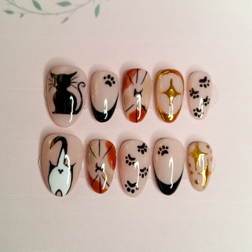 Starry Cats ✨️🐾